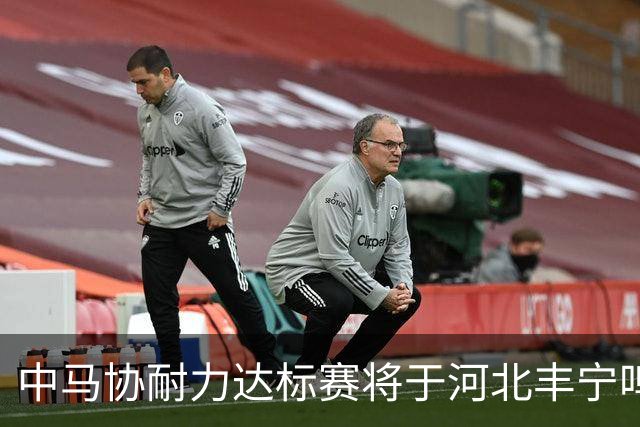 中马协耐力达标赛将于河北丰宁鸣枪 数十家专业马术俱乐部角逐