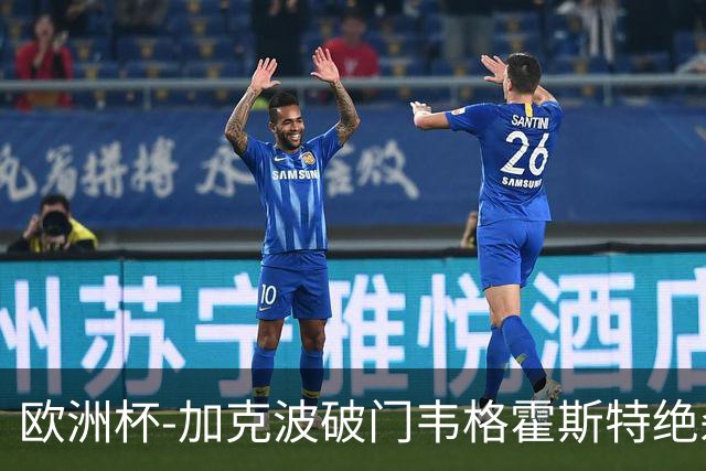 欧洲杯-加克波破门韦格霍斯特绝杀 荷兰2-1波兰